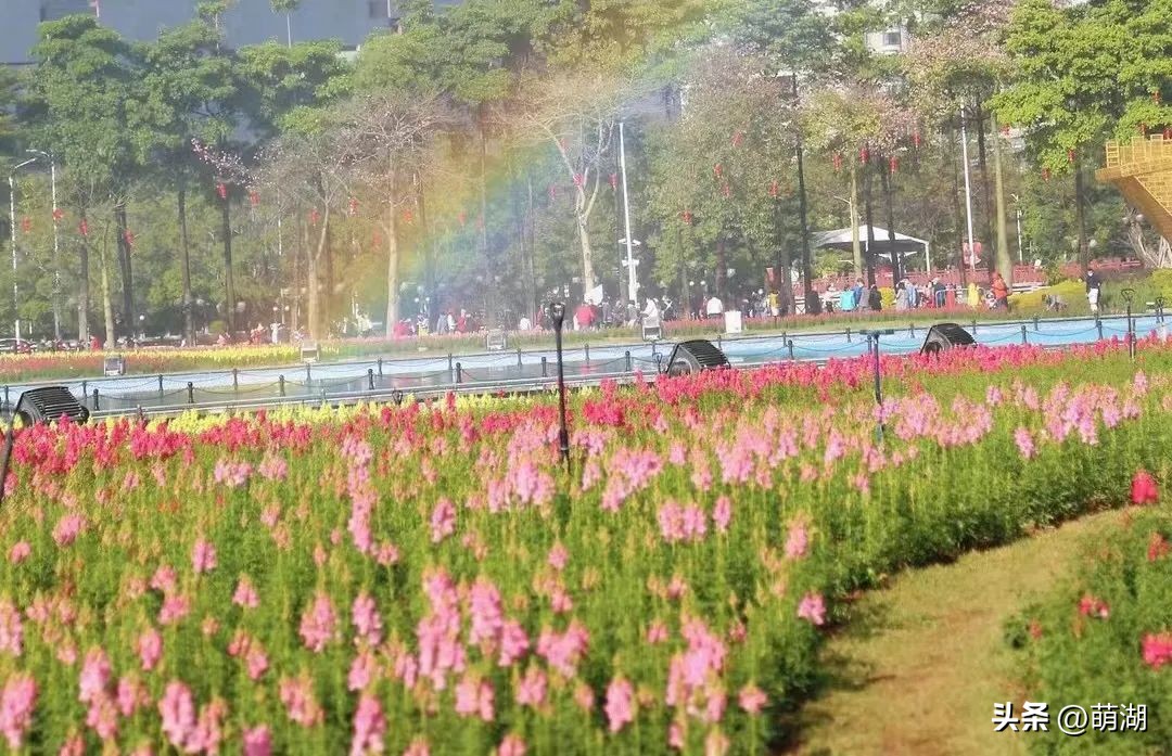 夏天去广州旅游攻略一天,广州旅游攻略一天一夜自由行