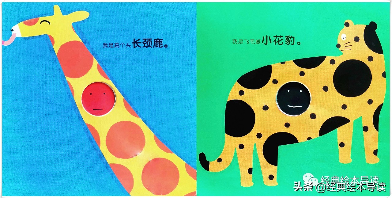 一本满满创意和奇妙的洞洞书——《红球球和黑球球》精读