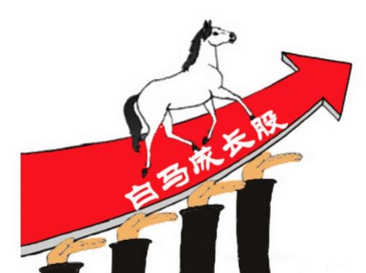 百科什么类型,权重股与白马股及蓝筹股