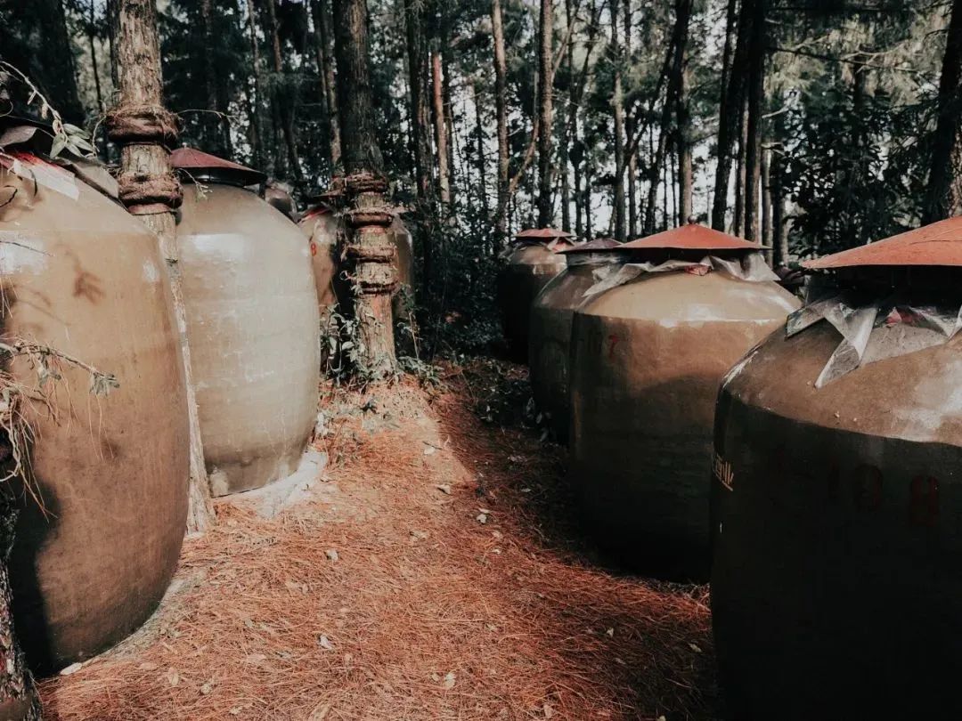 云南小曲清香型,云南小曲