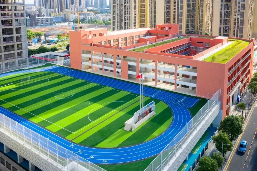 深圳龙岗中小学校排名前十,深圳龙岗优质小学排名