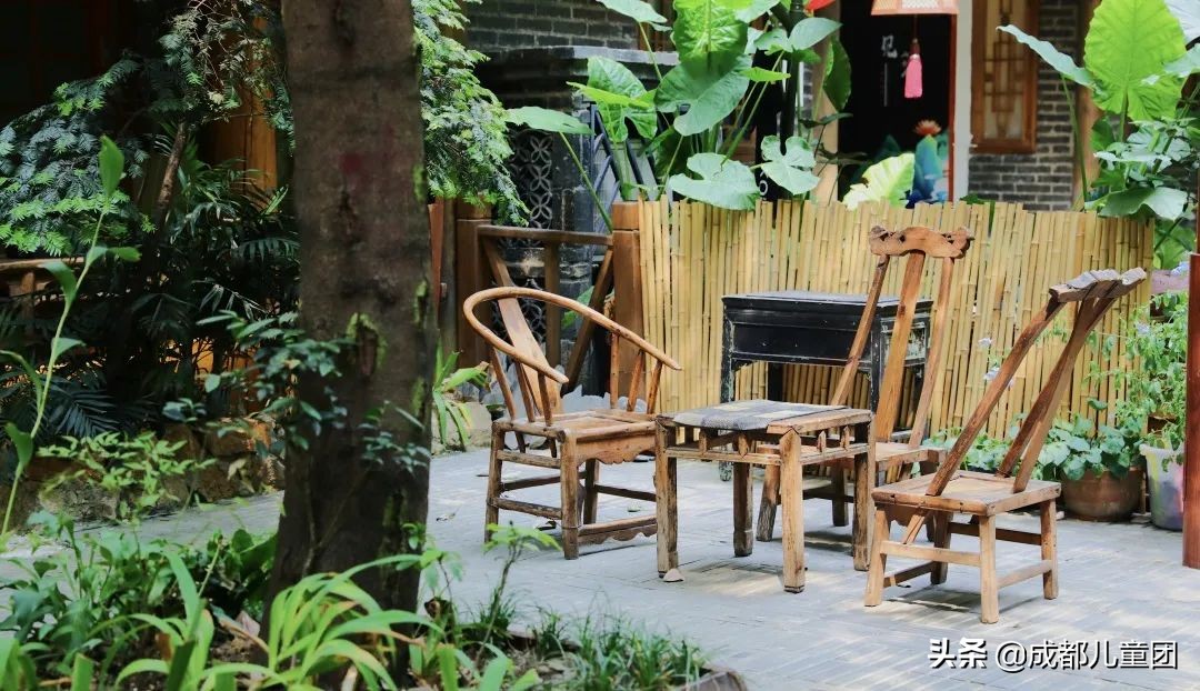 泡桐树街区,北京泡桐树街