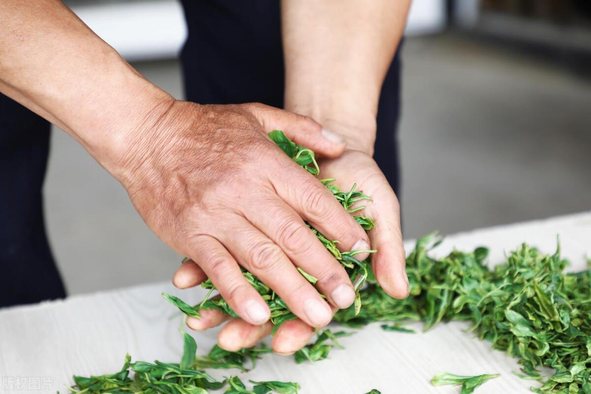 绿茶加工技术视频教程,烘青绿茶加工的基本工艺流程