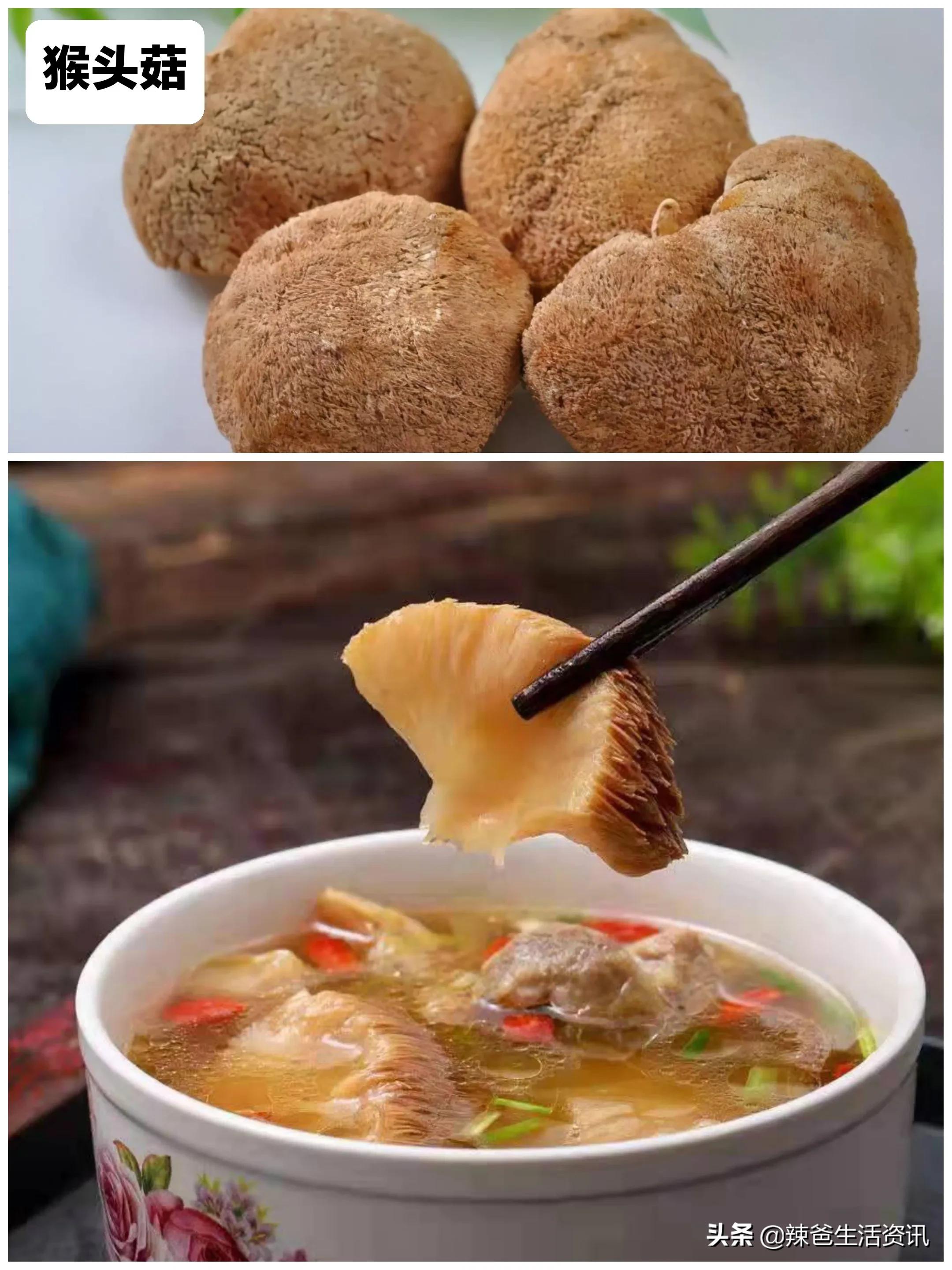 100种食用蘑菇大全,蘑菇的12种最佳吃法