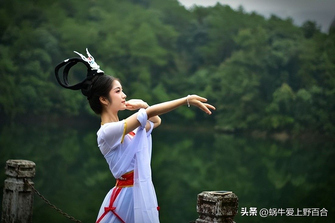 紫衣龟仙玄冥,龟仙紫衣