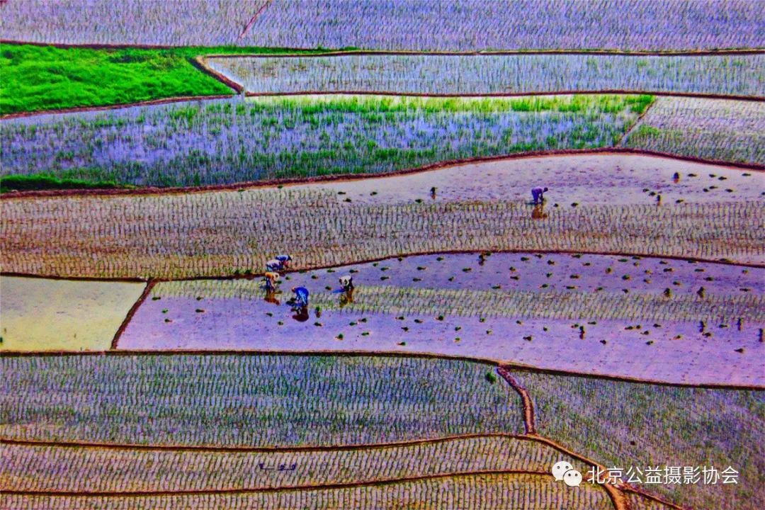 【第5期】微博月赛|3月我的家乡作品展示（一）