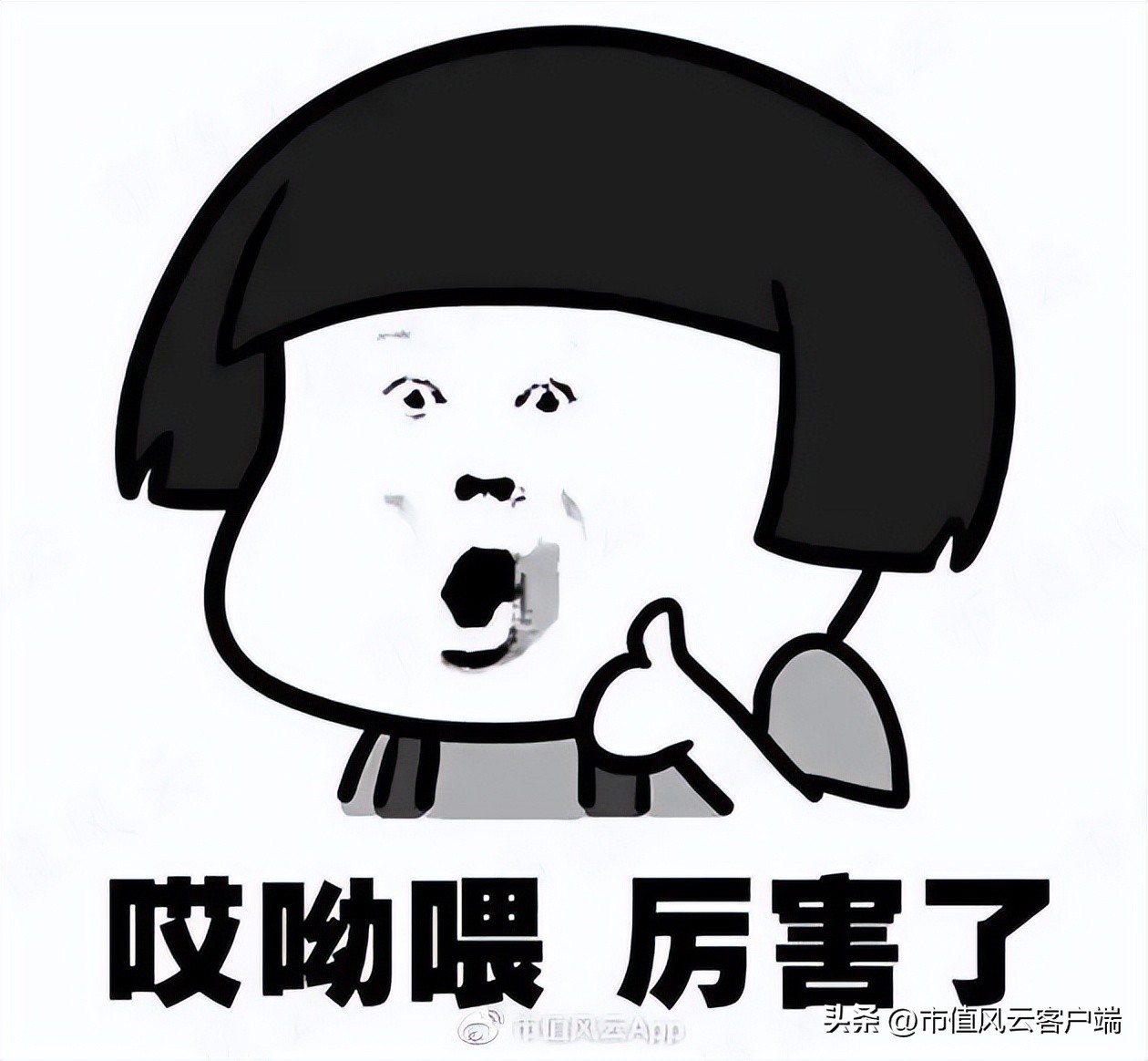 葛卫东和高瓴资本什么关系,高瓴和葛卫东同时看上的a股