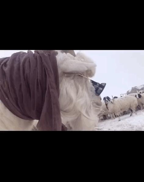 “千万！不要乱买东北风性感制服…”哈哈哈哈试穿后过于刺激