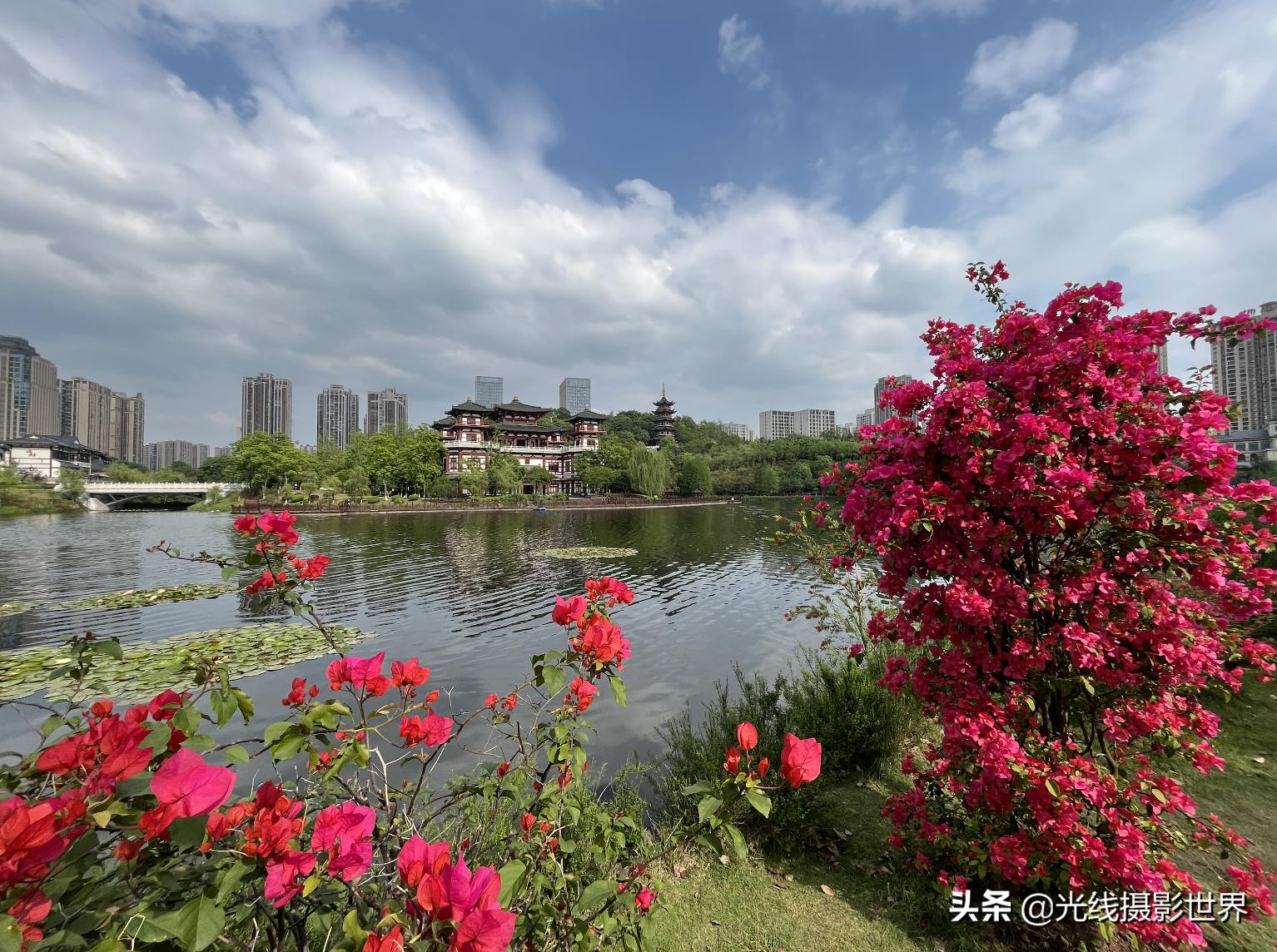 永川茶山竹海今年国庆免门票吗,2022国庆节永川茶山竹海攻略