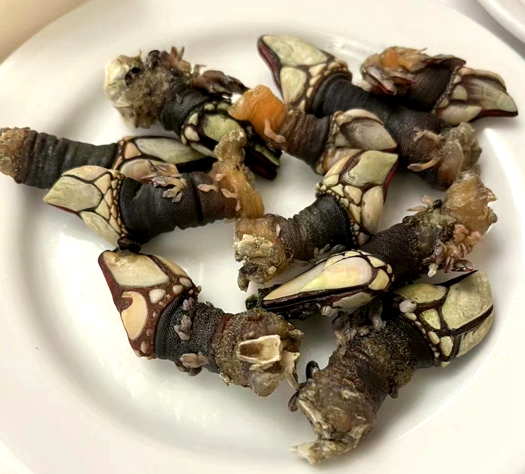 彩色旅图·西欧纪行｜上海女店主葡萄牙闹市租三层楼，月租才750欧