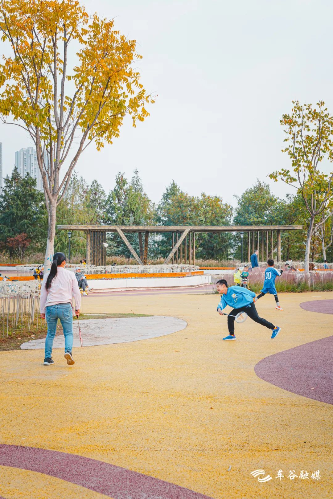 秋日暖阳骑行绿道,骑车绕城绿道值得打卡的推荐