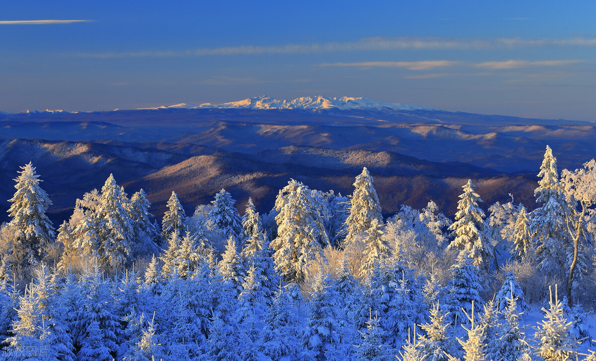 别再只会说“你好，四月”了，英文版谚语帮你提升朋友圈逼格