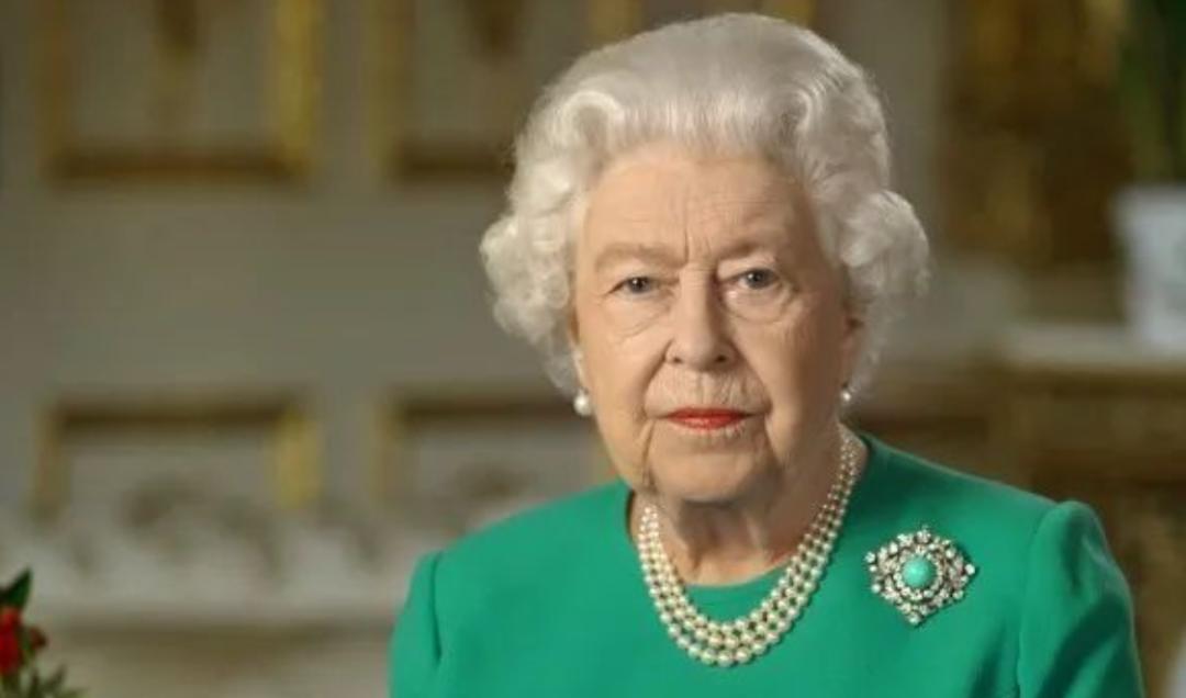 伊丽莎白轻奢胸针,凯特王妃戴的伊丽莎白女王的胸针