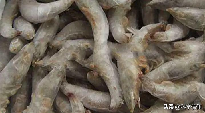 虾外面裹着面,冷冻虾的外层冰是怎么冻上去的