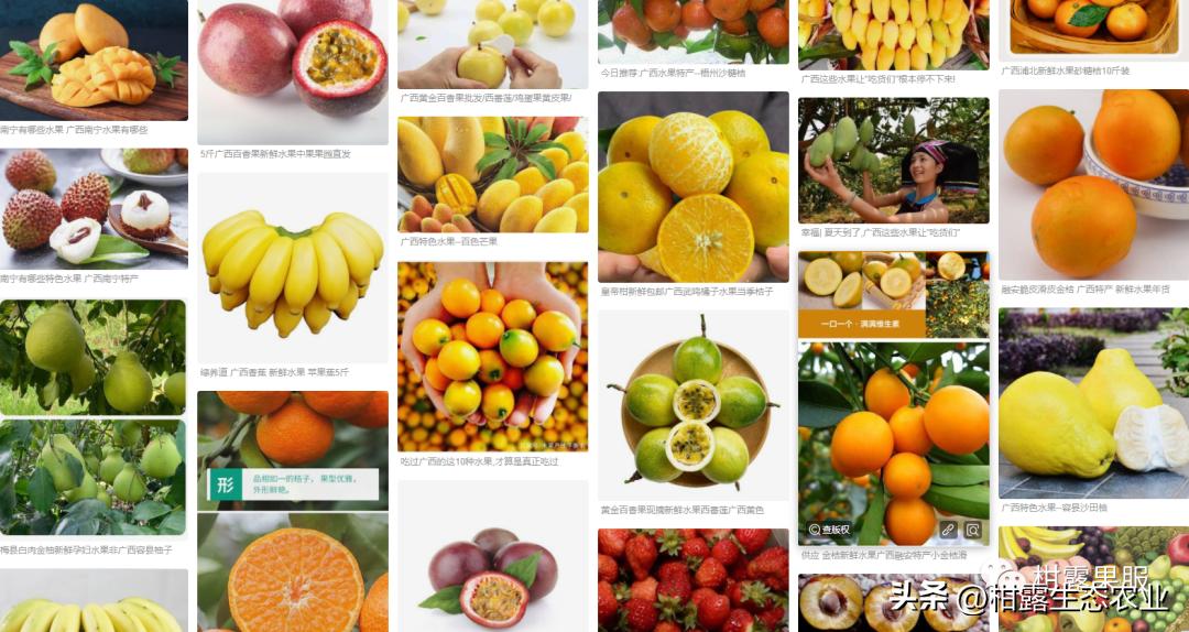 中国水果第一大省有多强视频,广西最大的水果基地