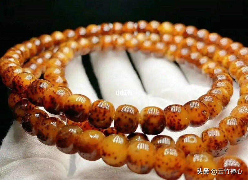 新手怎么盘星月菩提教程,新手金刚菩提星月菩提