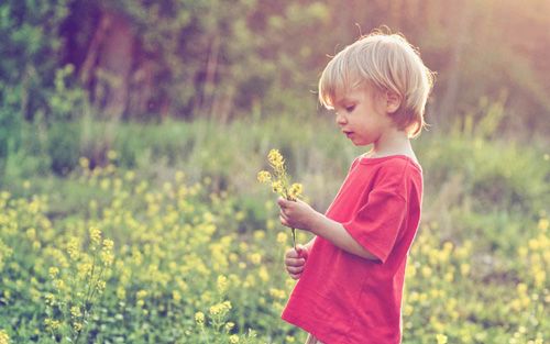 男孩名字大全2021属虎王姓,王姓男孩名字大全2022属虎