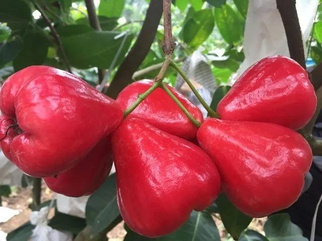 供应链行业观察,供应链视角分析