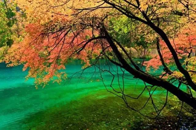 *合六**顺账户交易纪实(220307)