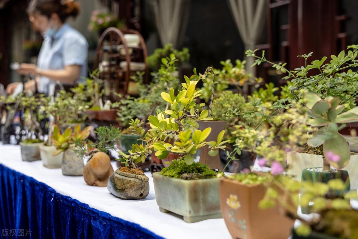 2023年摆地摊卖什么最赚钱,最火爆最赚钱的摆摊食品