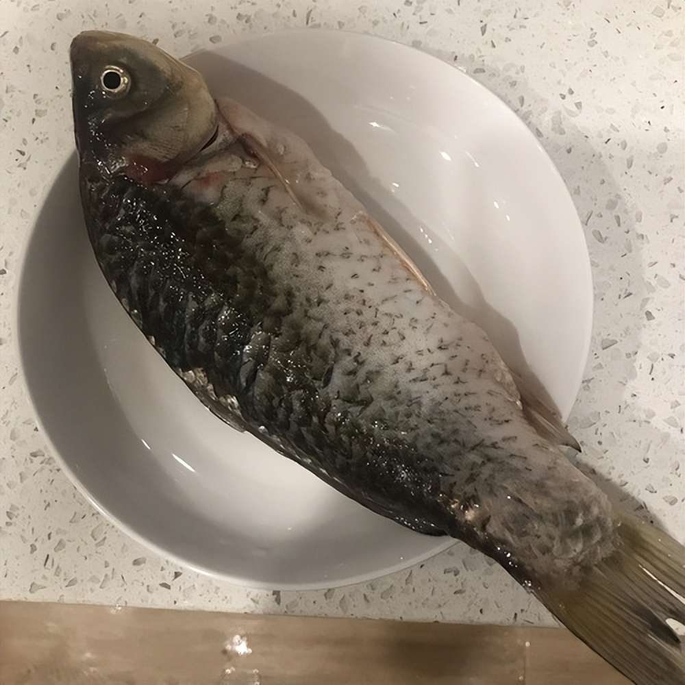 母猫下奶没有奶怎么办,母猫产后喂不喂羊奶粉