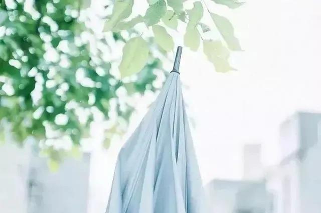 女生都有虚荣心吗,人都有虚荣心