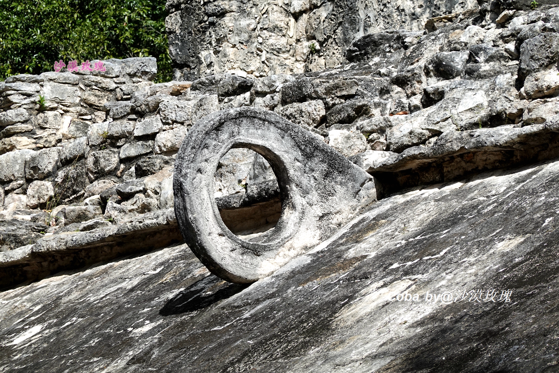 墨西哥足球暴力,墨西哥足球最高赛事