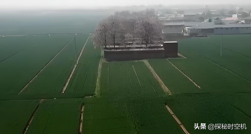 2014年，桃木枝戳穿*体下**？河北女子死状诡异，求爱日记本藏杀机