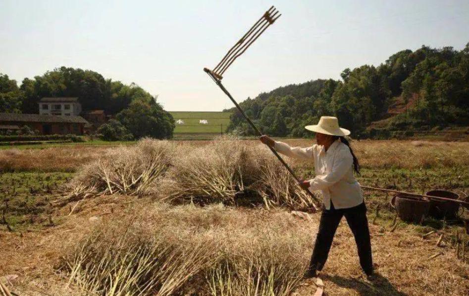 过时的姨妈巾,40后农村老物件
