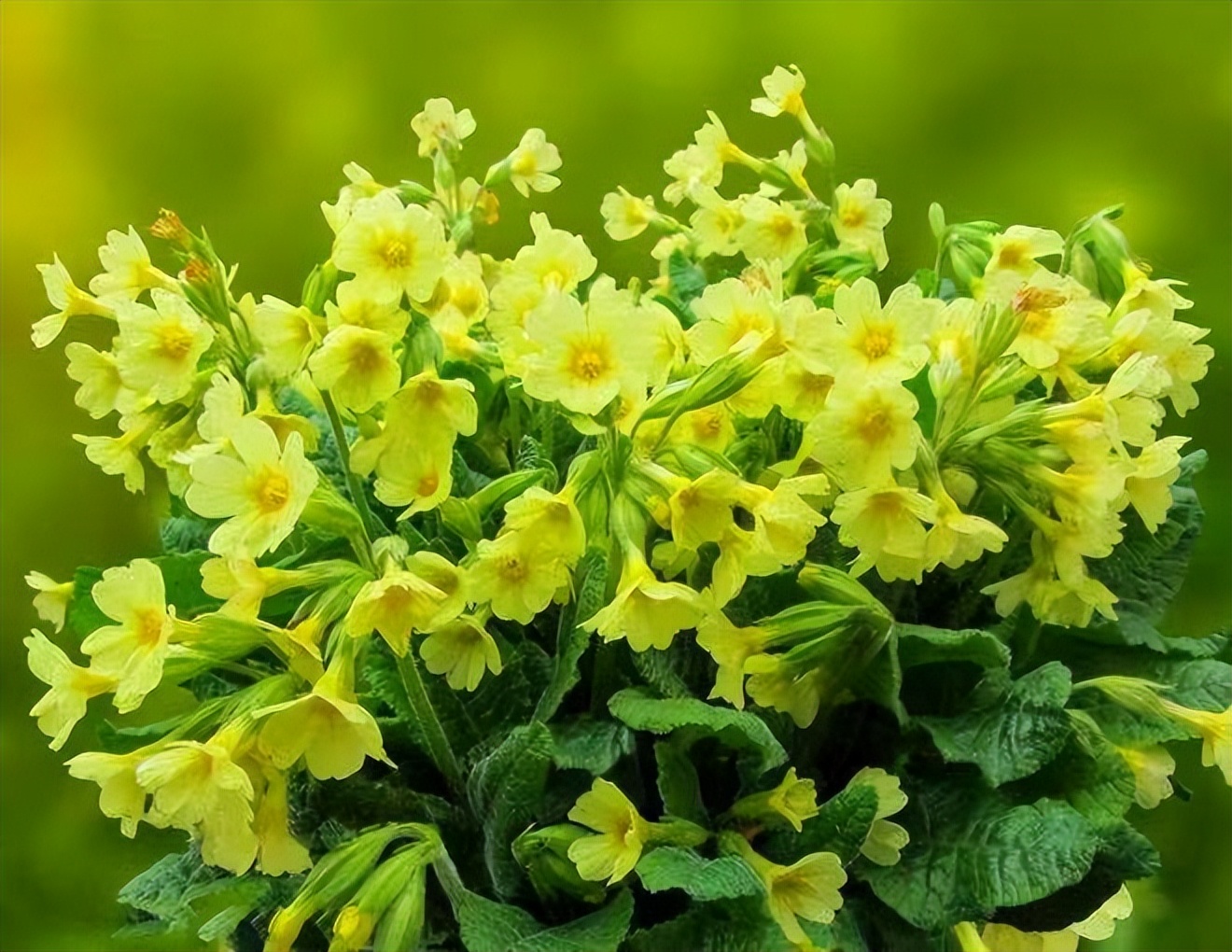 男女之间的10个真相太扎心了,男女之间真正应该了解的是什么