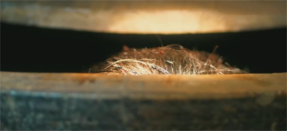 他是谁：二号女主出现，都说她胜过小雨的美（第四集）