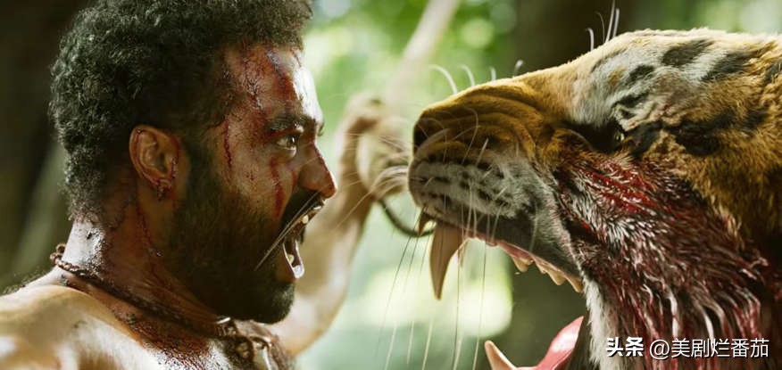 最近几年欧美评分高的电影,近十年好看的欧美电影推荐