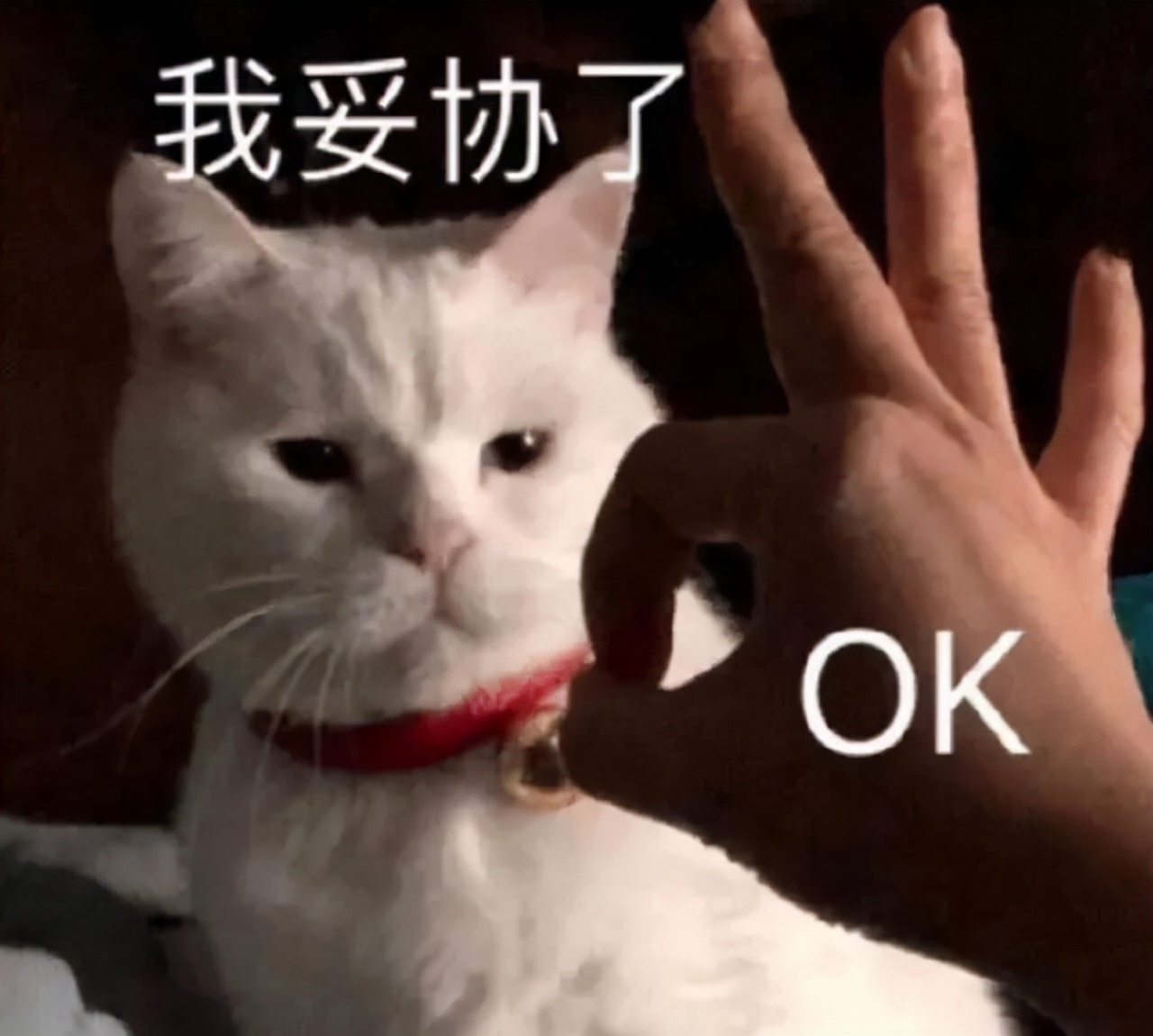 星巴克最骚气的套路,星巴克骚操作集锦