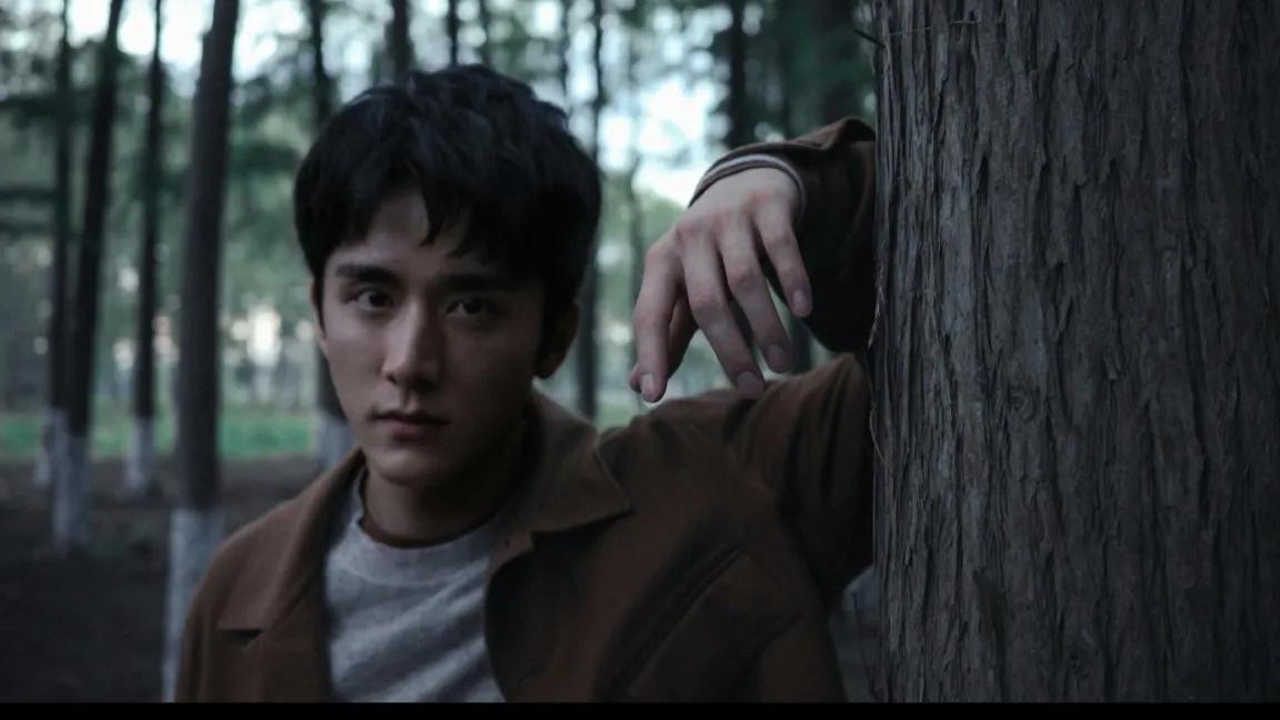 县委大院演员阵容为何这么多明星,县委大院实力派