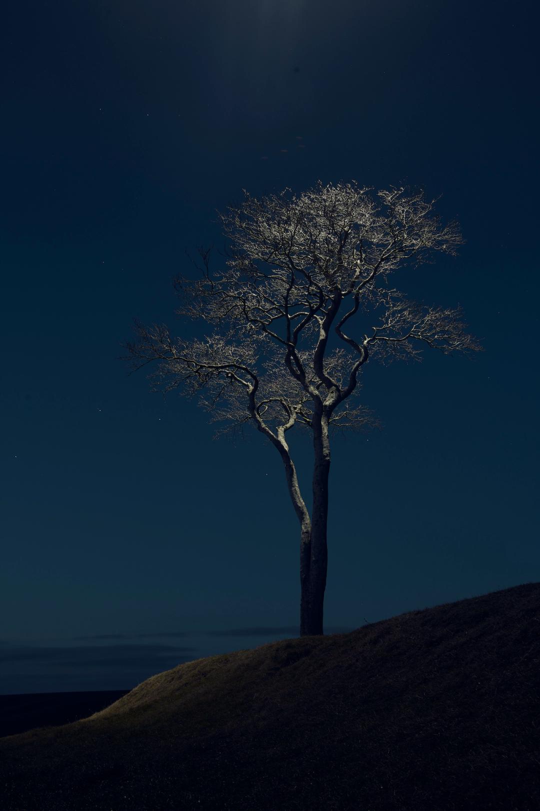 2022索尼摄影大赛征稿,2022索尼世界摄影大赛