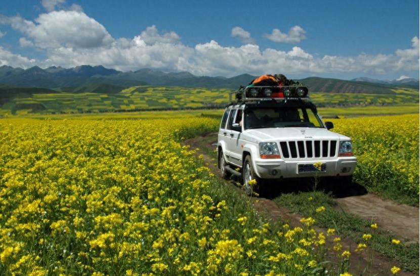 百度和高德地图哪个收费准确,百度导航和高德地图哪个更准确