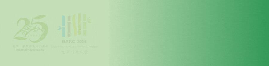 中国竹业｜看一根“小竹子”如何撬动千亿“大产业”