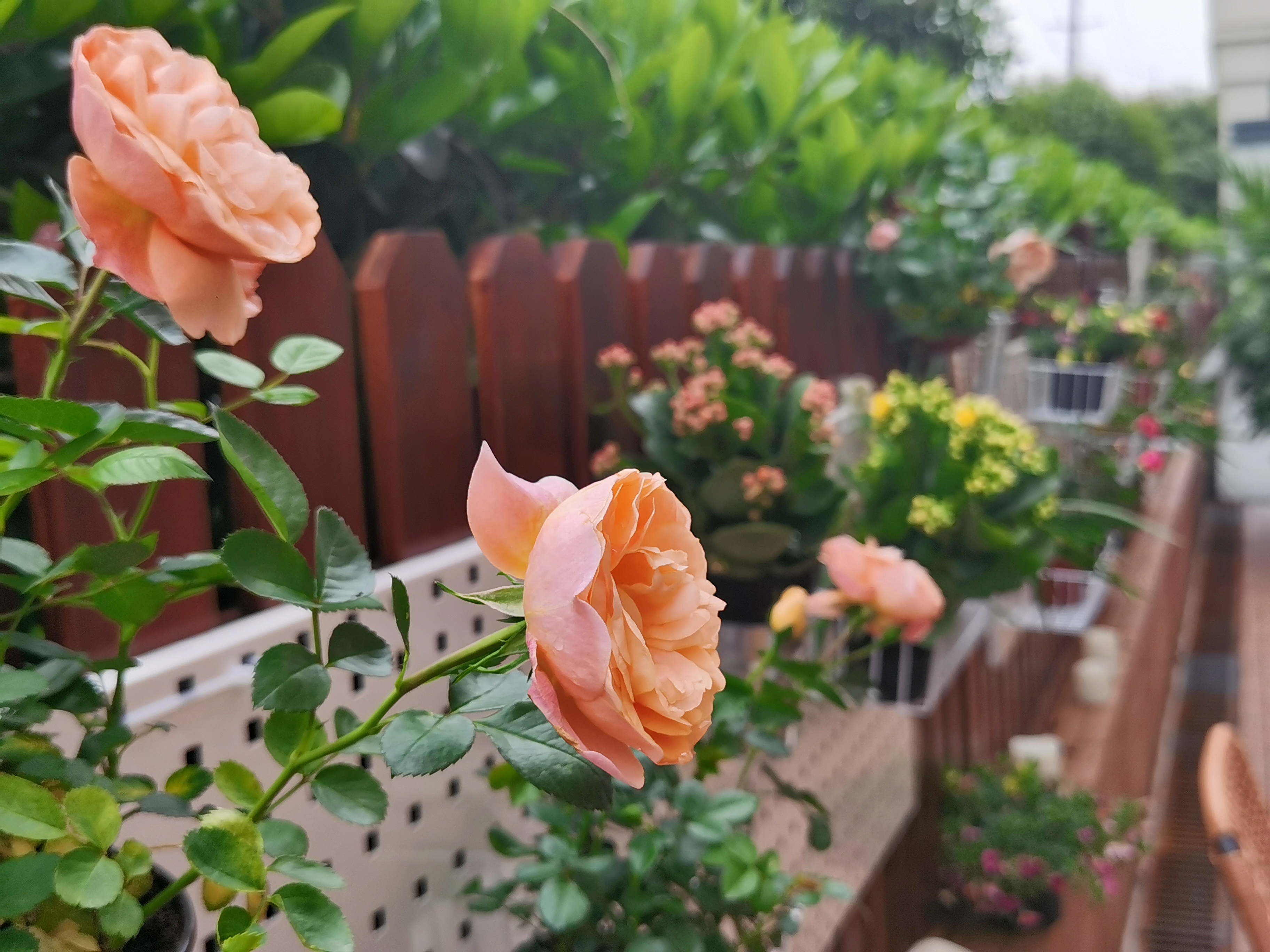 国内旅游最好玩十大必去的地方,国内旅游不累又好玩的地方推荐