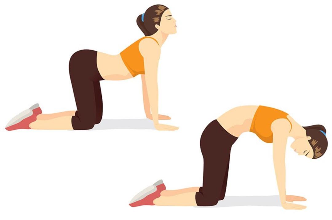 在家新手健身增肌计划教学,新手健身适合什么样的计划