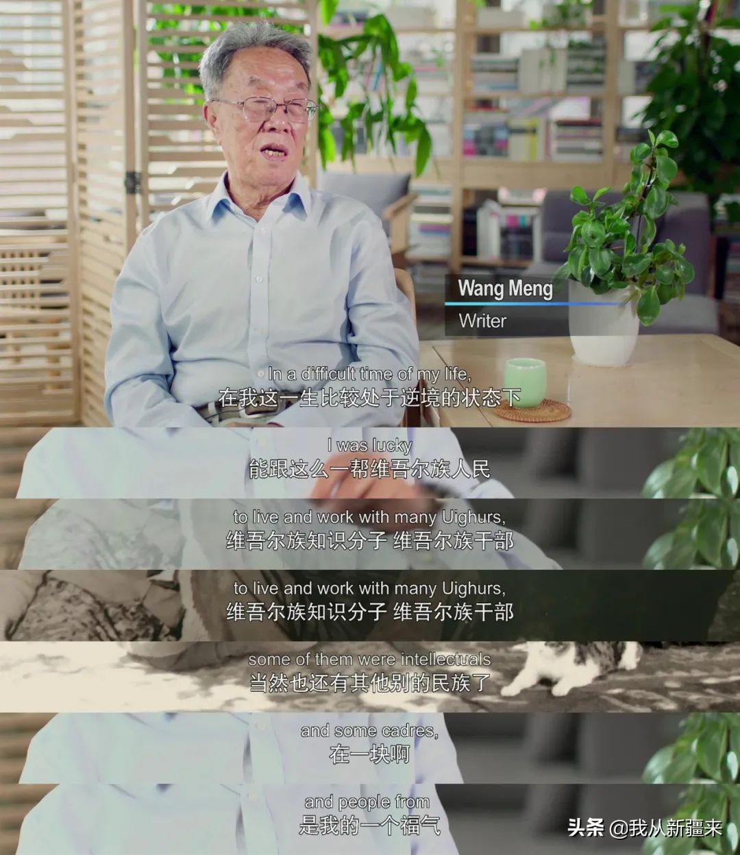 人民艺术家王蒙奖章,当代人民艺术家王蒙