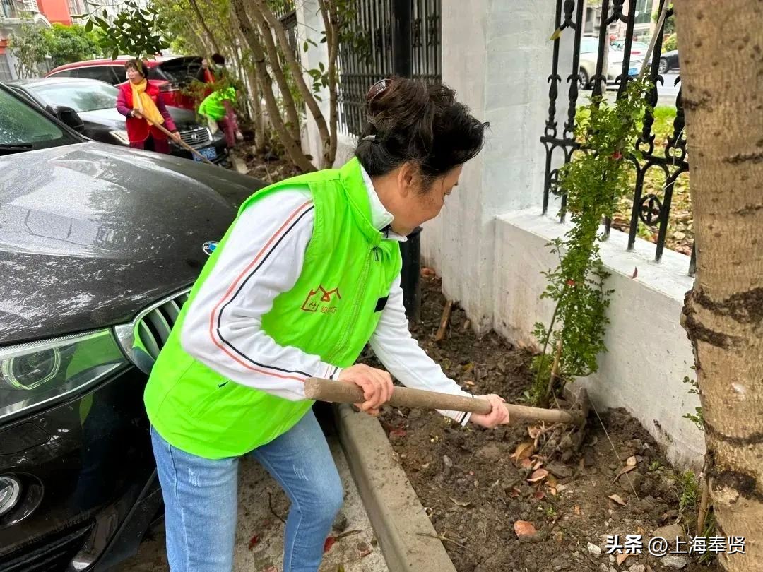 拆迁安置房怎么分家析产,拆改结合型小区