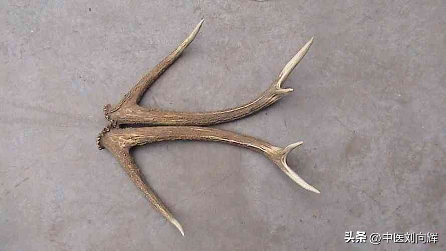 既补阴虚又补阳虚的中药,既能补阳虚又能补阴虚的中成药