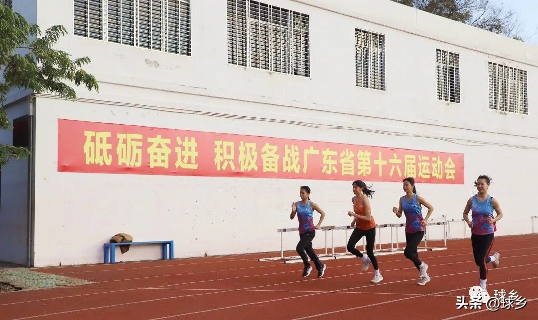 踔厉奋发新起航,踔厉奋发开新局奋楫笃行谱新篇