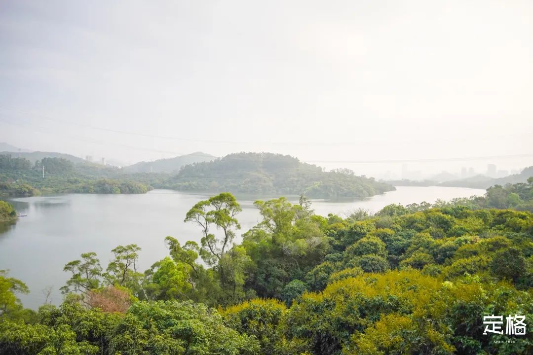 淘金山绿道揽胜,淘金山绿道预约