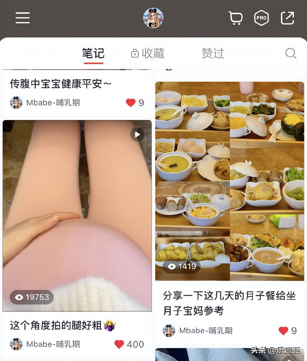 顶流隐婚以后,顶流隐婚生子