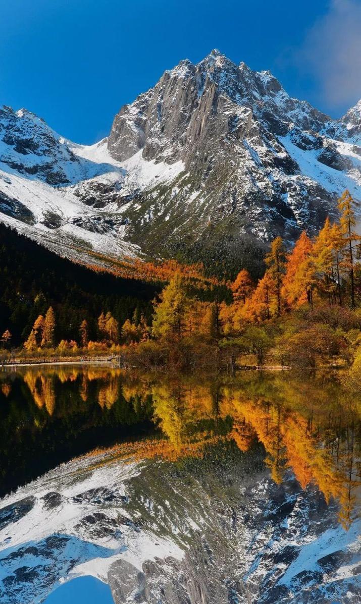 成都徒步原始森林好去处推荐,成都周边徒步森林公园推荐