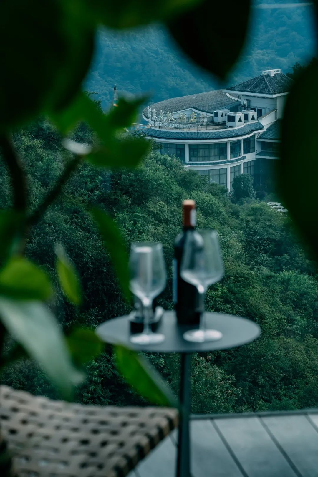 美出新高度再出新辉煌,美出新高度种草