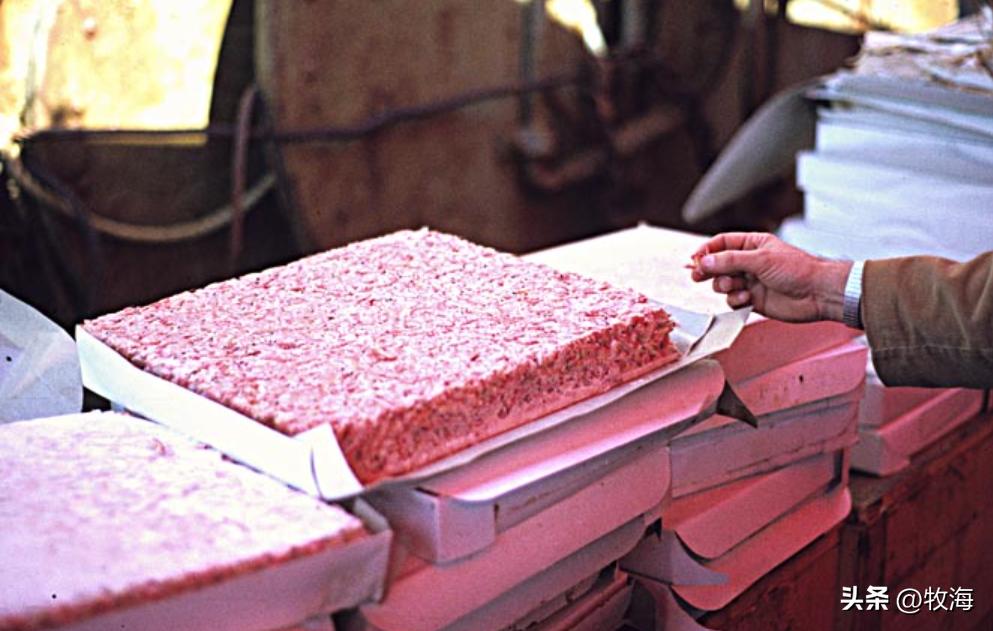 南极磷虾船最新消息,南极磷虾大爆发