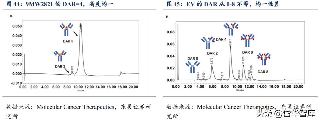 有效避开内卷，迈威生物：ADC锋芒初显，快速成长的Biopharma