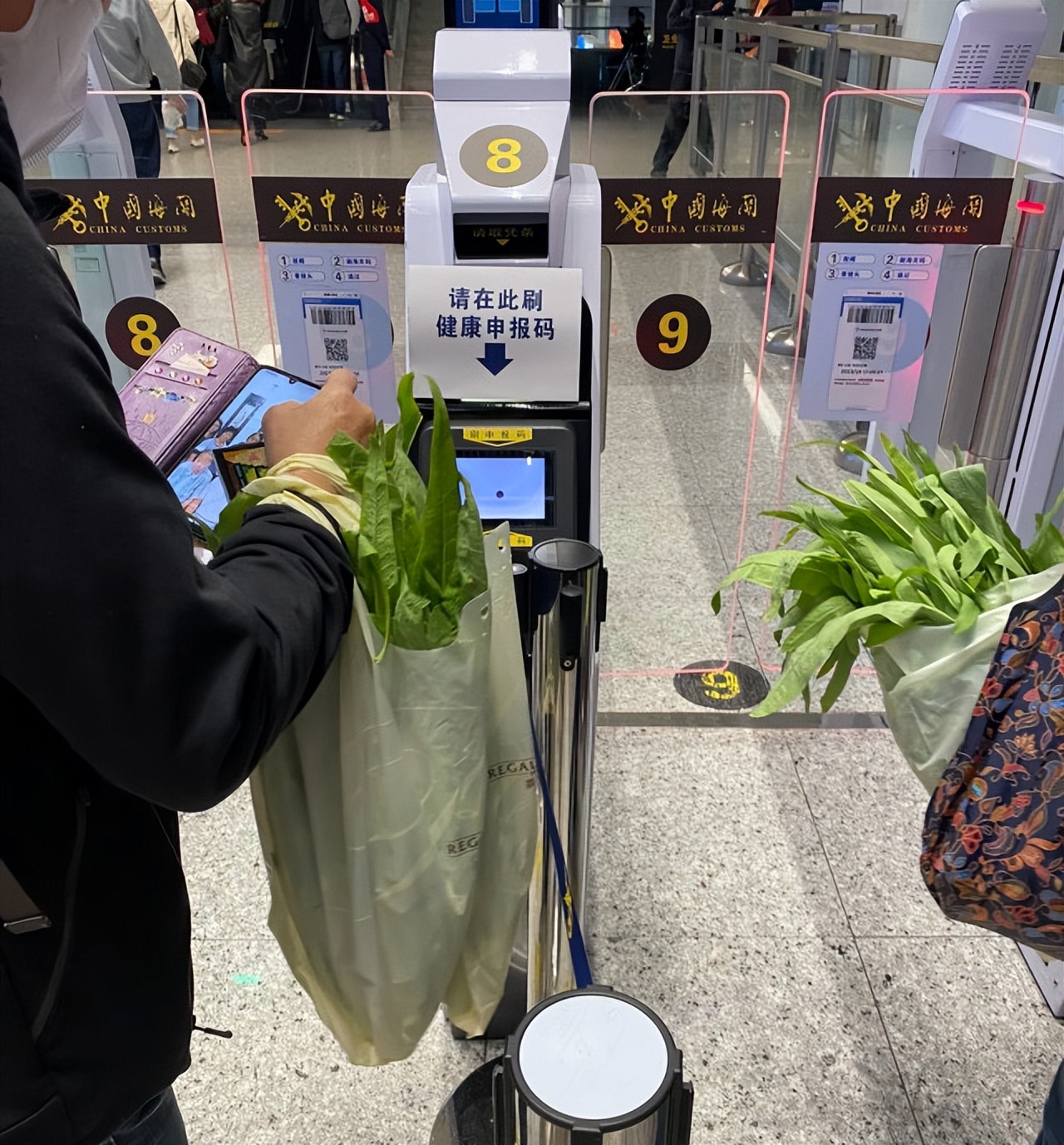 带青菜回香港,带菜到香港